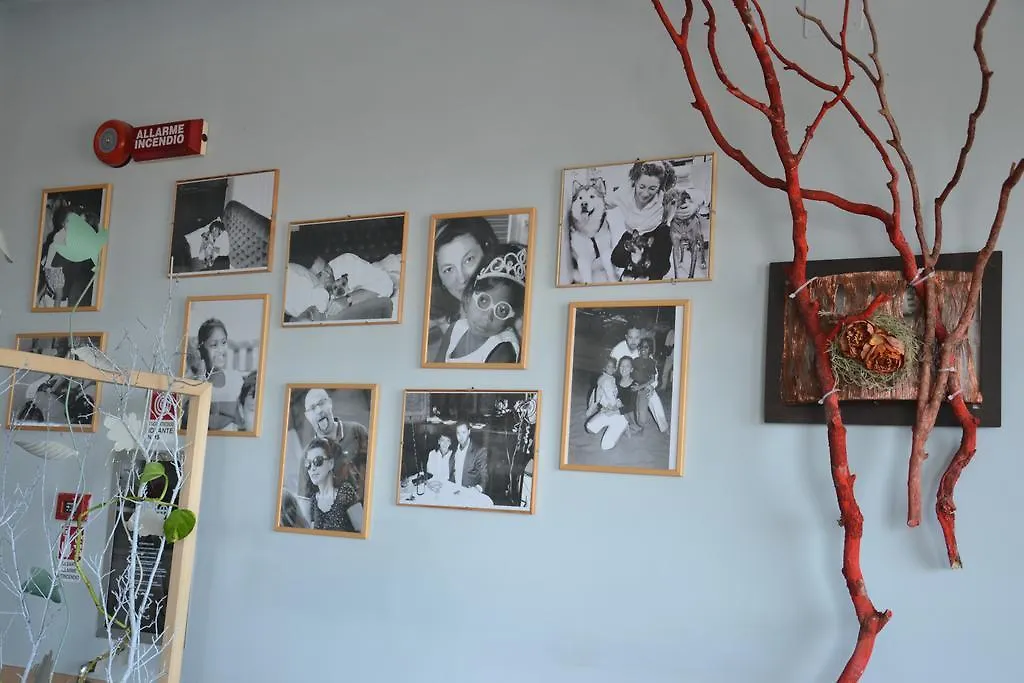 Hotel Corallo Rimini Italië